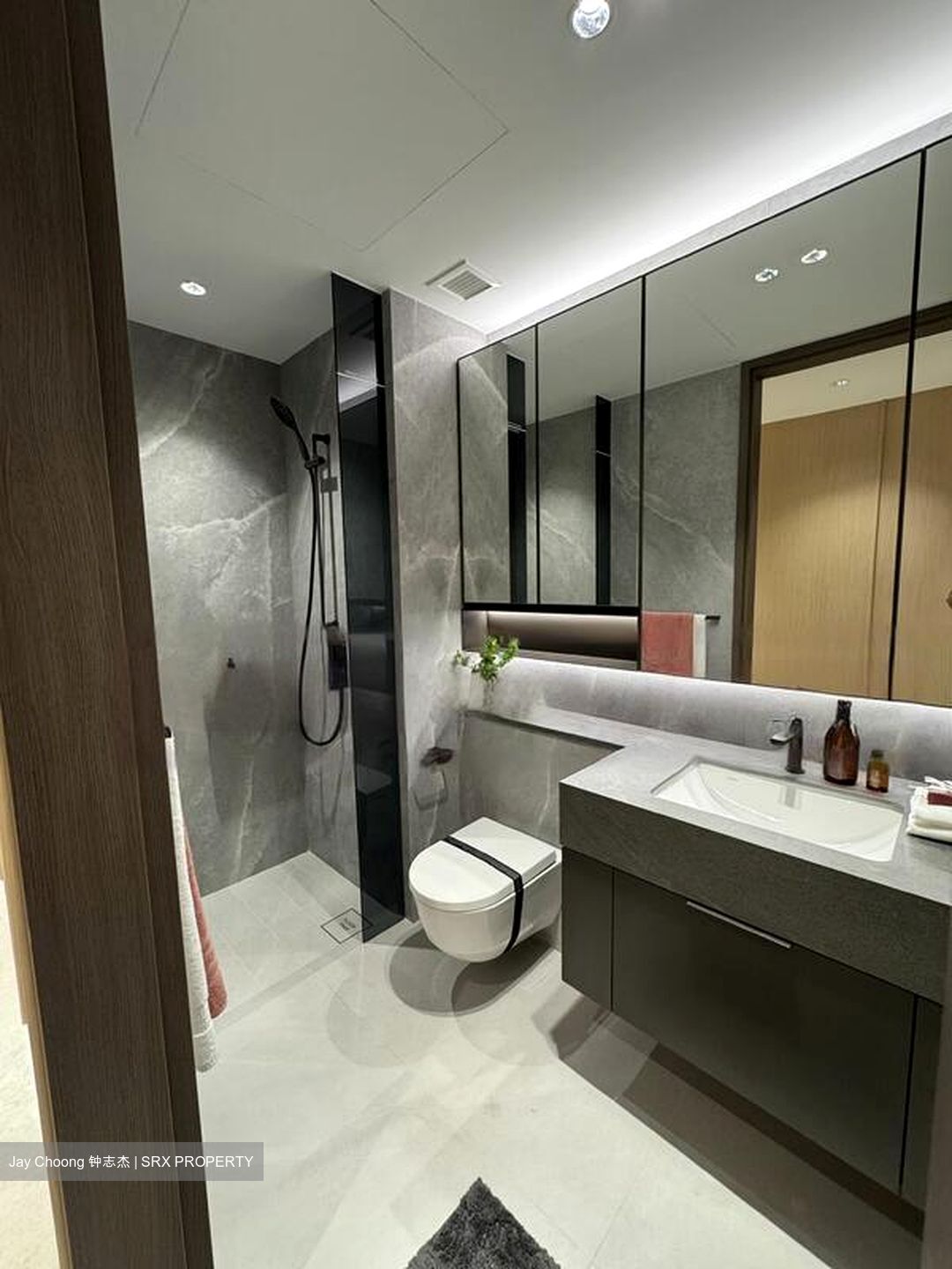 Zion Road (D3), Condominium #468965531